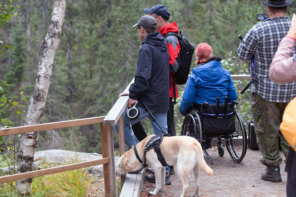 Hepokönkään vesiputouksesta Puolangalta saa alkunsa Kiiminkijoki ja sieltä voisi hyvin aloittaa myös Kainuun retken. Putouksen yläpuolella on katselutasanne ja taukopaikka. Myös putouksen alapuolelle on rakennettu katselutasanne. 